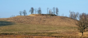 Bilionių piliakalnis. 2008. Jolantos Naujėkienės nuotrauka