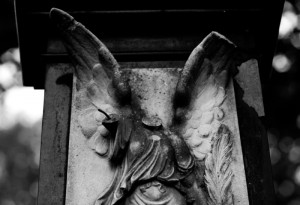 Taurimos Bunkutės nuotrauka