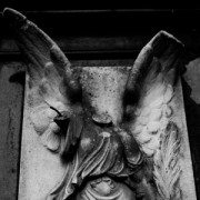 Taurimos Bunkutes nuotr_m