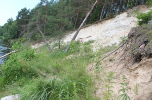 Byrų (Tartoko, Bratoniškių) atodanga prie Neries. Autoriaus nuotraukos