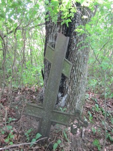 Antoniškių dvaro kapinaitės. Stačiatikių kryžius prie medžio. 2014. Autorės nuotrauka