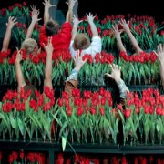 UgniesMedzioklemmmmm