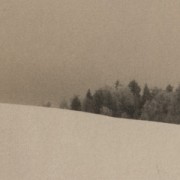 Vytautas_Balcytis.Bukiskis.2003_M