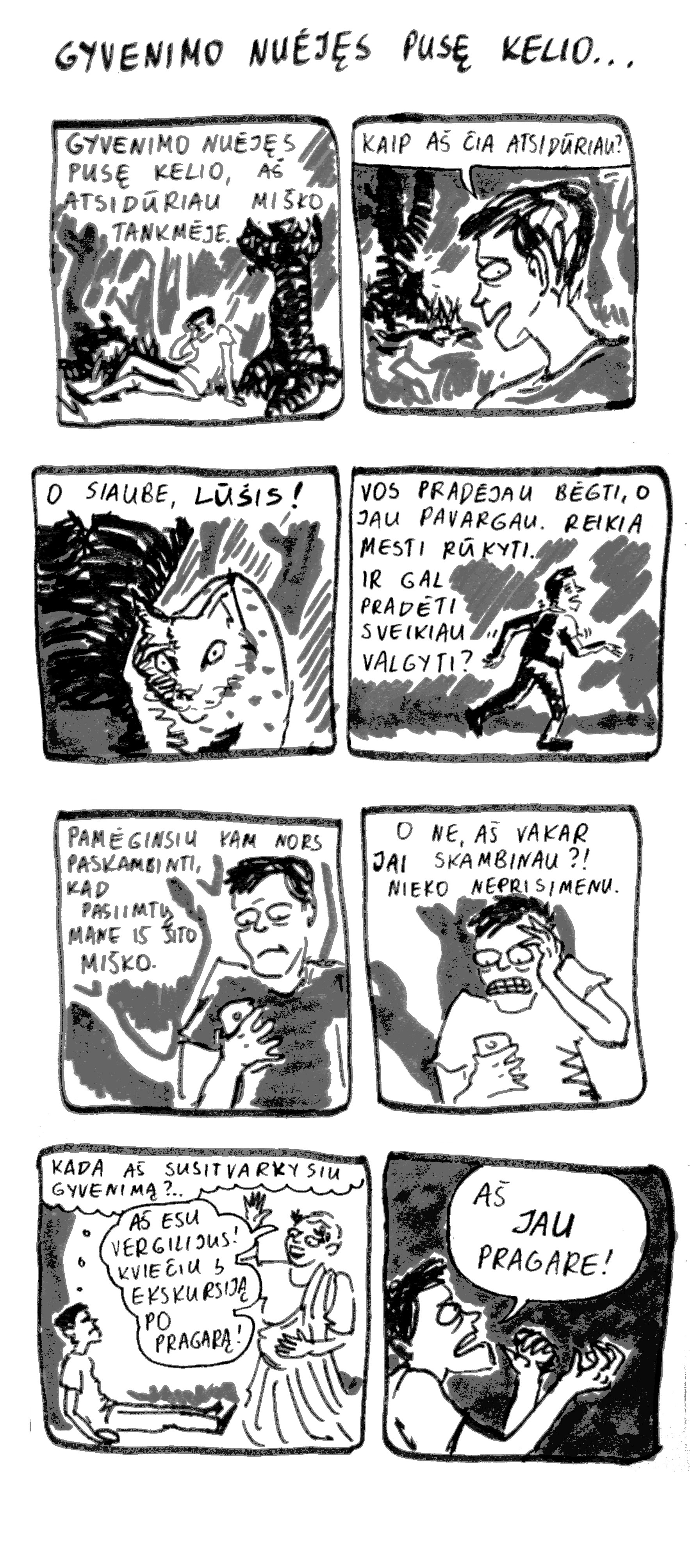 Miglės Anušauskaitės komiksas