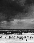 Martin Munkàcsi. Paplūdimys prieš audrą. 1930