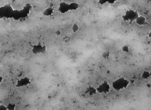 Arvydas Palevičius. Membranos, pagamintos iš aliuminio oksido, vaizdas per skenuojantį elektroninį mikroskopą 