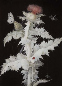 Barbara Regina Dietzsch. Dagio šaka su drugeliu, laumžirgiu, boružėle ir voru. 1777