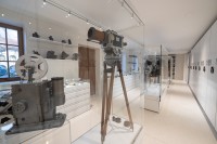 Gintarės Grigėnaitės nuotrauka