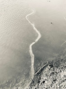 Darius Misiūnas. Ižas. 2024