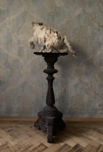 Ramunės Pigagaitės nuotrauka