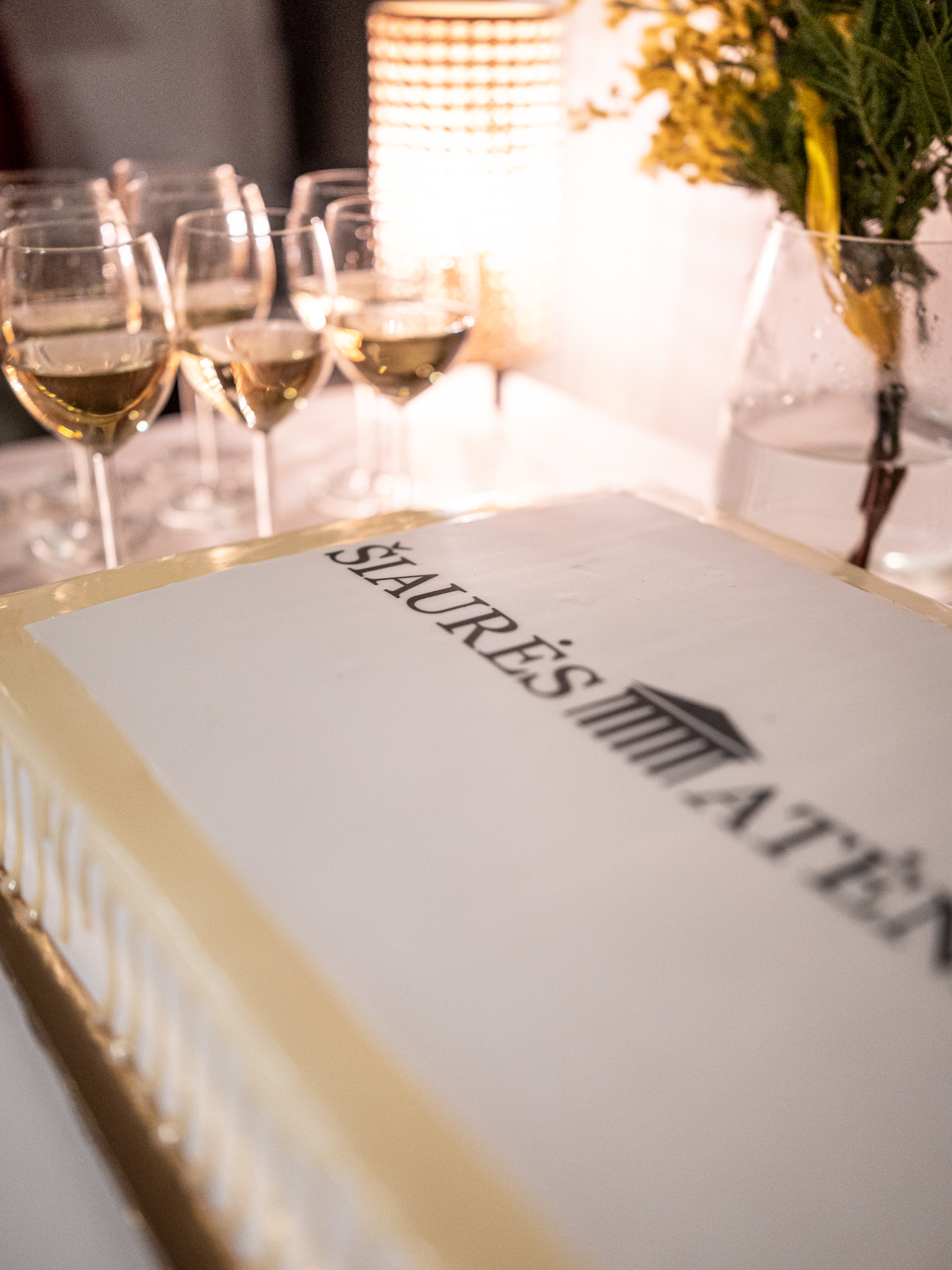 2025_02_07_SA-35_Mindaugo_Mikuleno_nuotr-15