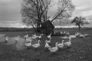 Daivos Kairevičiūtės nuotrauka