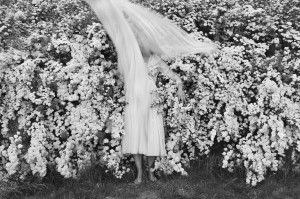 Daiva Kairevičiūtė. Žydėjimas. 2021