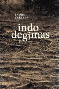 Indrė Larssen. Indo degimas. V.: 58 sapnai, 2026. 128 p.