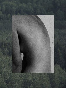 Laimos Stasiulionytės fotomontažas